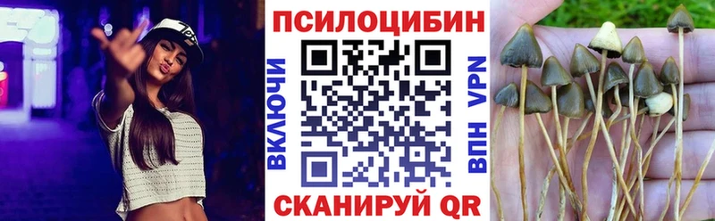 маркетплейс состав  Екатеринбург  Псилоцибиновые грибы Psilocybe  продажа наркотиков 
