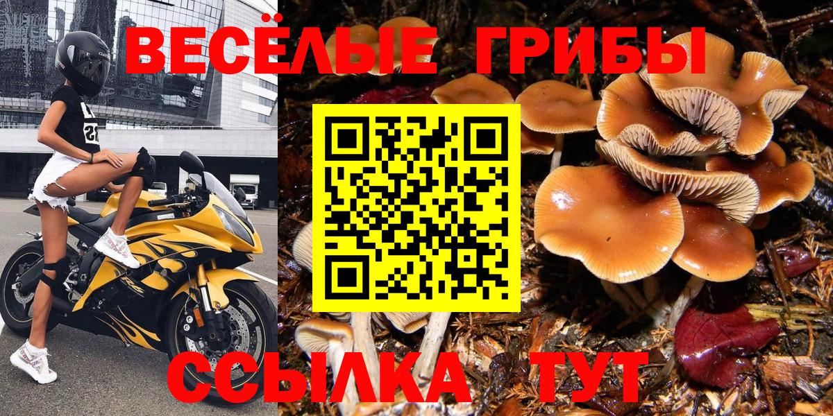 Псилоцибиновые грибы Cubensis Екатеринбург