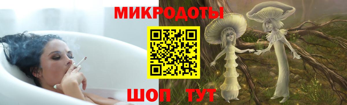 Галлюциногенные грибы Psilocybine cubensis Екатеринбург